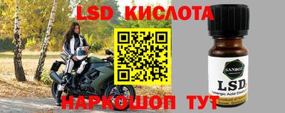 прущие грибы Тара