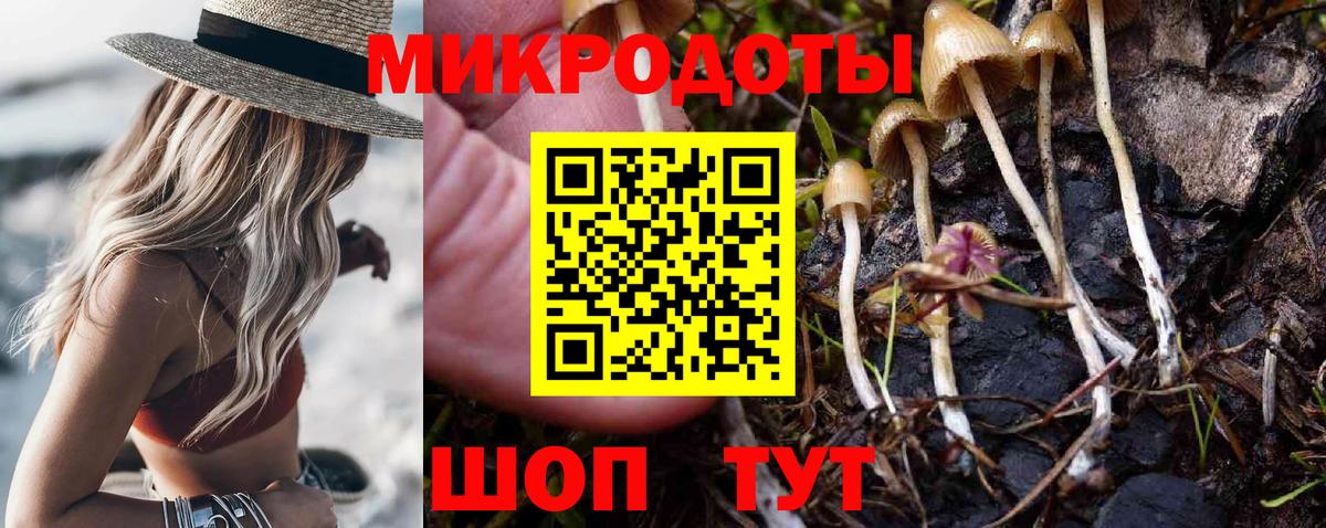 Галлюциногенные грибы MAGIC MUSHROOMS  Вход с VPN  Галлюциногенные грибы Psilocybine cubensis  Зерноград 